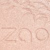 310 Pink Champagne