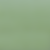 499 Green anti red patches